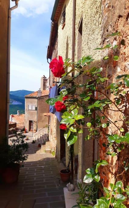 Villa Casa Il Girasole à Boccheggiano Extérieur photo