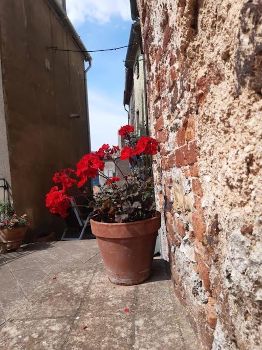Villa Casa Il Girasole à Boccheggiano Extérieur photo
