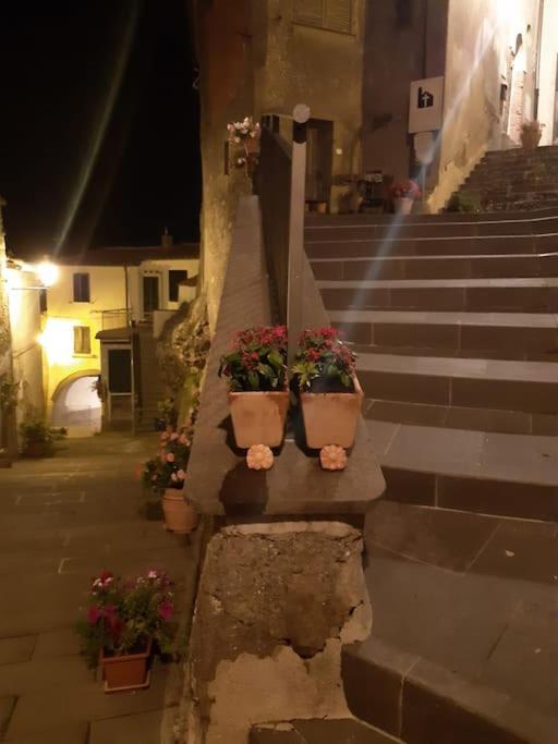 Villa Casa Il Girasole à Boccheggiano Extérieur photo