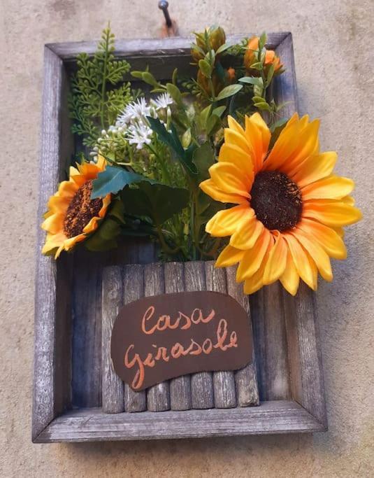 Villa Casa Il Girasole à Boccheggiano Extérieur photo
