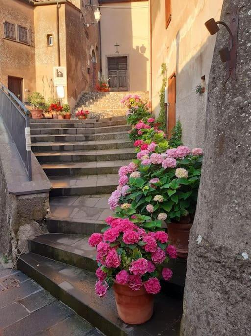 Villa Casa Il Girasole à Boccheggiano Extérieur photo